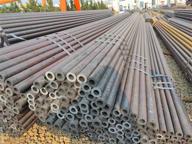 IMG_20230401_155031.jpg IMG_20230401_155031.jpg